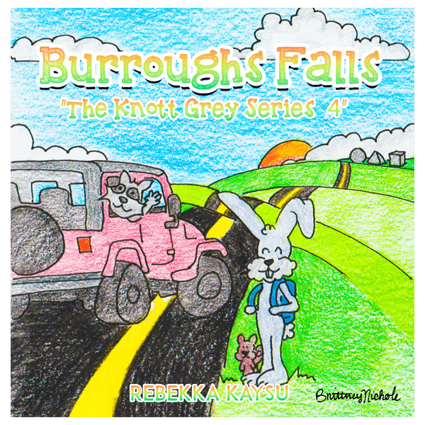 Knott Grey Series 4: Burroughs Falls
